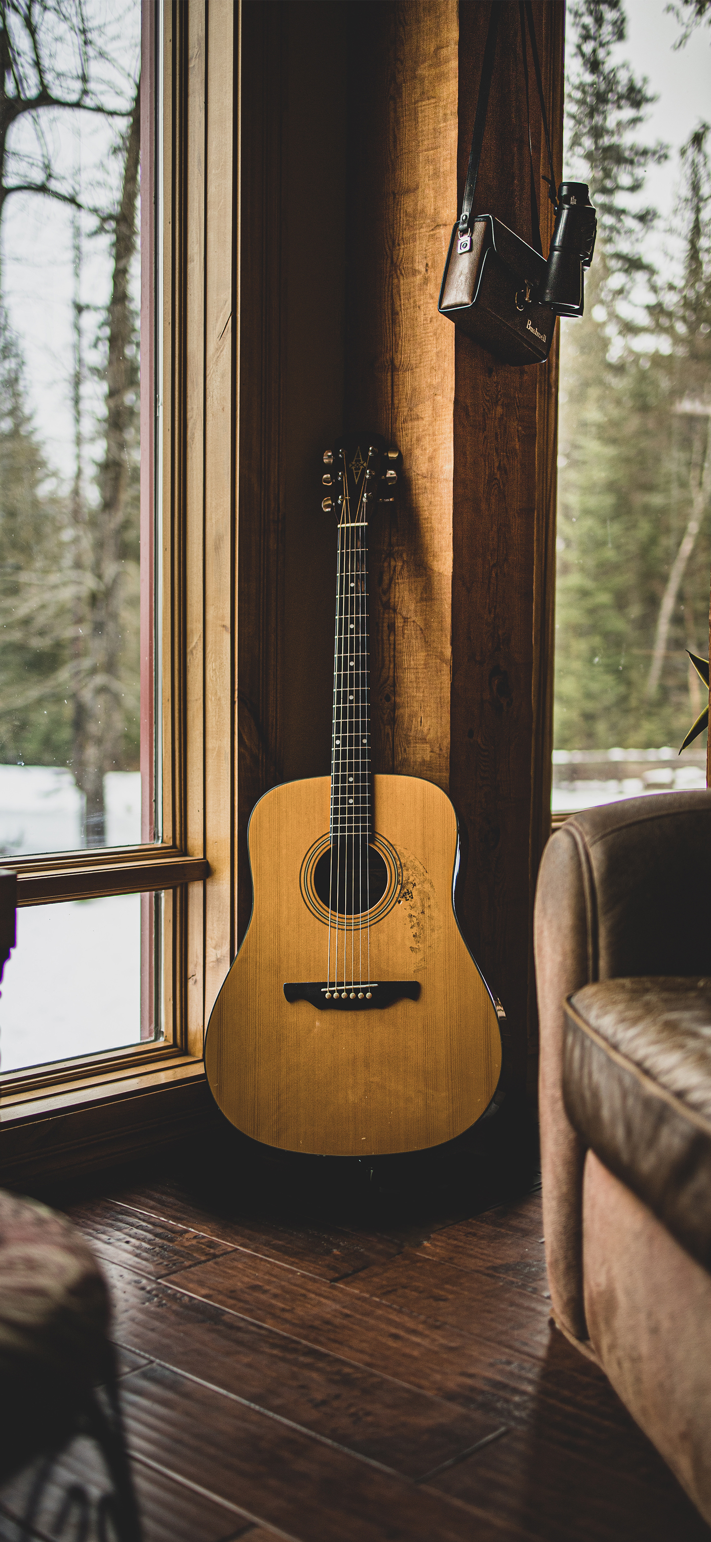 壁纸来了小说,壁纸来了梵高