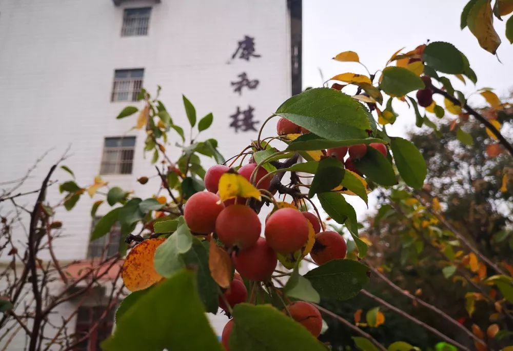 双十一优惠不停歇,双十一优惠特多