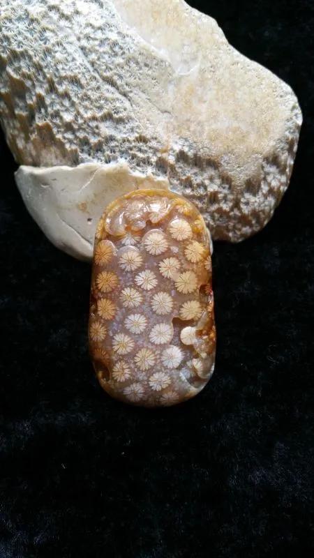珊瑚玉的特色有哪些,珊瑚玉作用及怎么保养