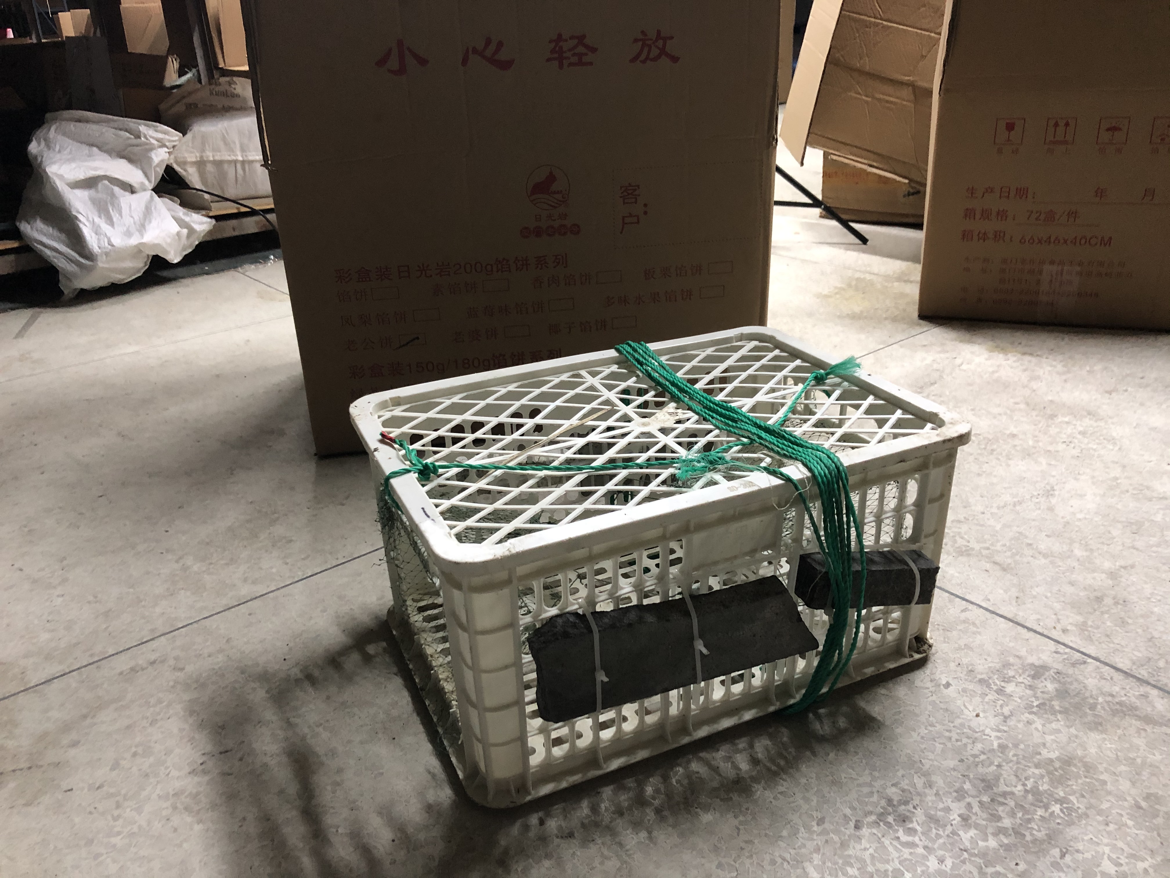 抓螃蟹的窝怎么做,螃蟹笼抓螃蟹