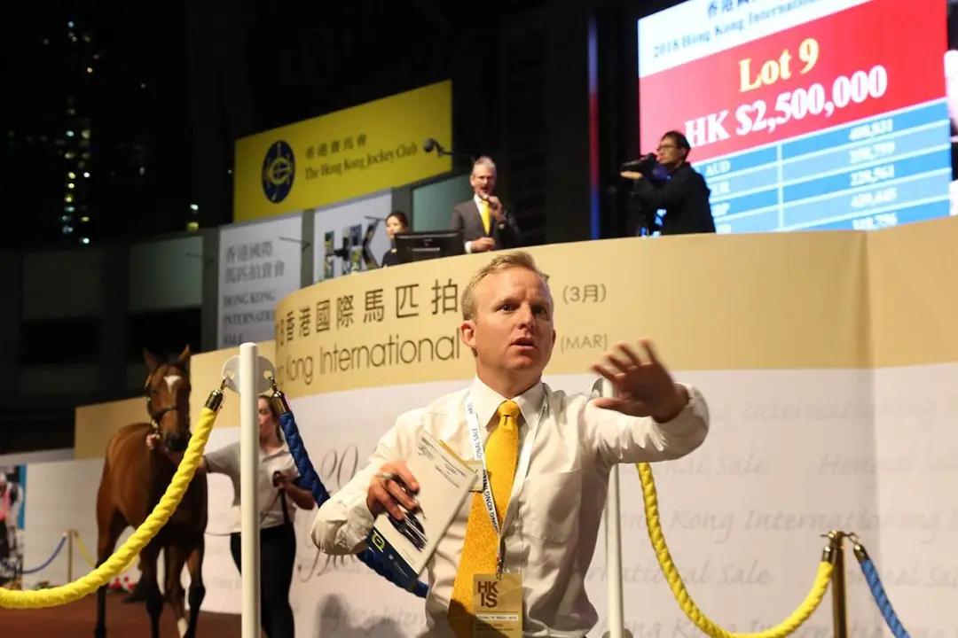 香港富豪为什么爱养马,香港富人为什么这么多