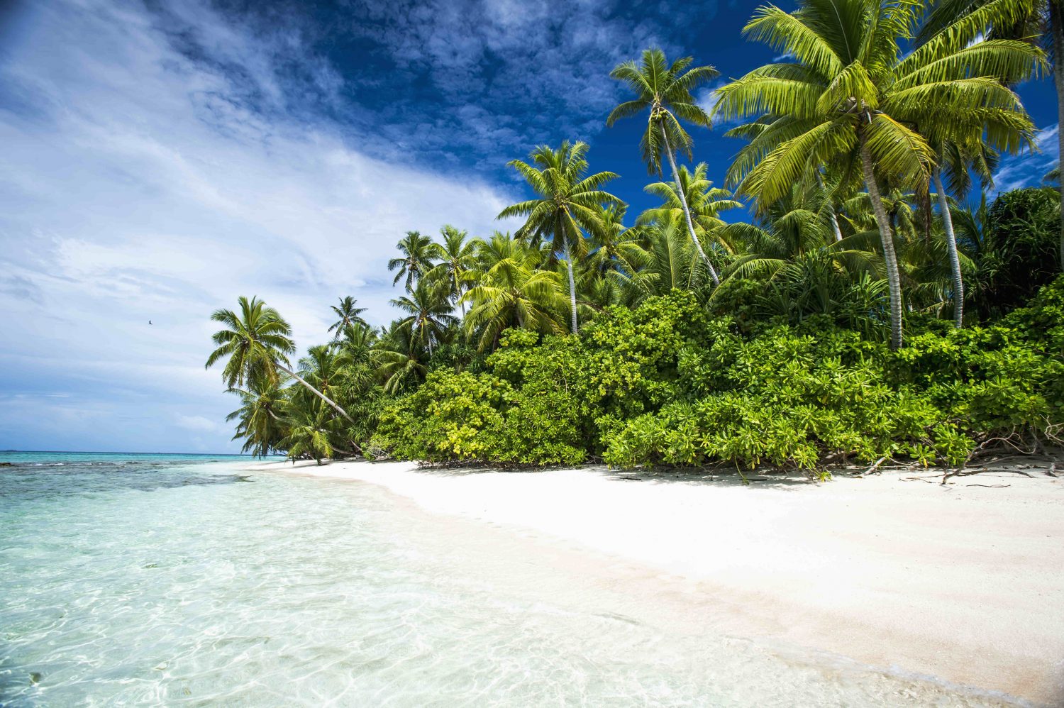 世上首个面临消失的岛国，举国搬*都迁**是假，居民用爱撑起一座国