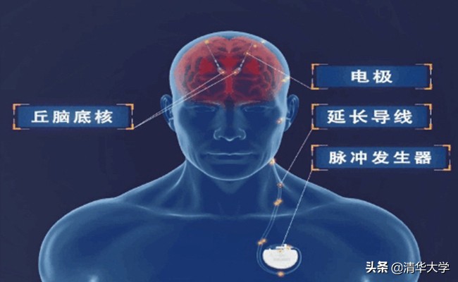 国家科学技术进步奖一等奖,国家科学技术进步一等奖2016