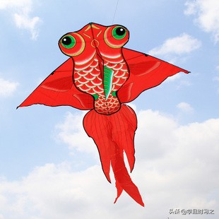 山东省公共基础知识视频,公共基础知识山东分值