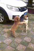 剑网三电竞玩家,剑网三电竞圈是什么梗