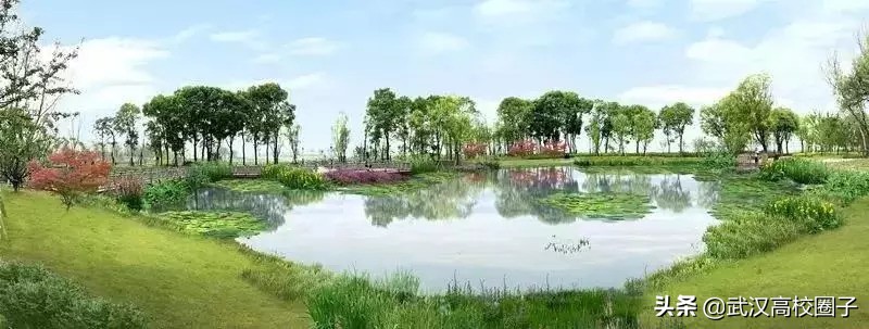 武汉东湖游玩攻略骑行路线,来武汉东湖绿道打卡玩法全攻略