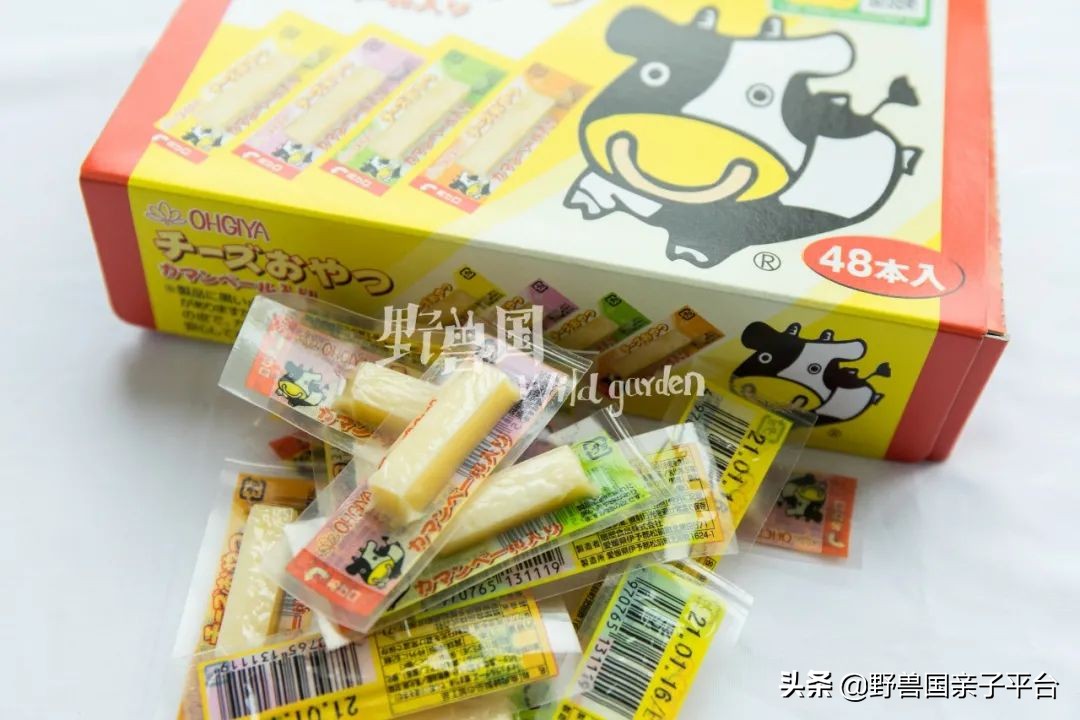 和神兽和平相处,和神兽一起生活是什么感受