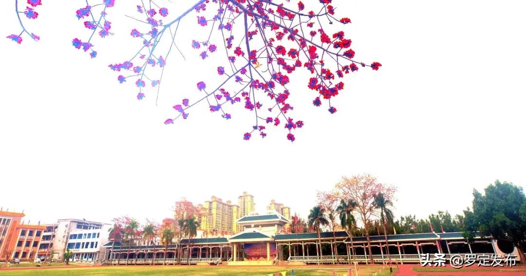 罗定中学106周年校庆完整版,罗定中学113届校庆