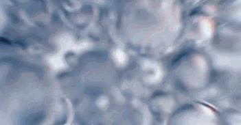 当年的万人迷陈好现在怎么样了,40岁万人迷陈好现在怎么样