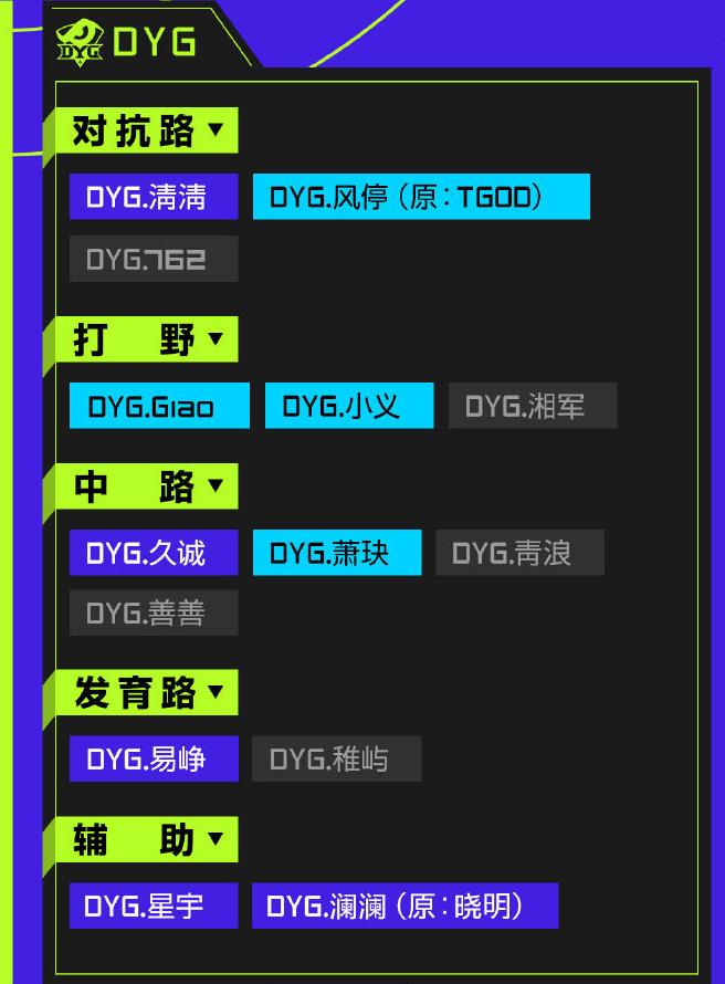 dyg对战ts世冠总决赛久诚百里守约,kpl战队年终总结