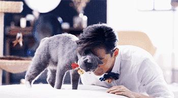 胡歌彭于晏和我,胡歌我和我的父辈