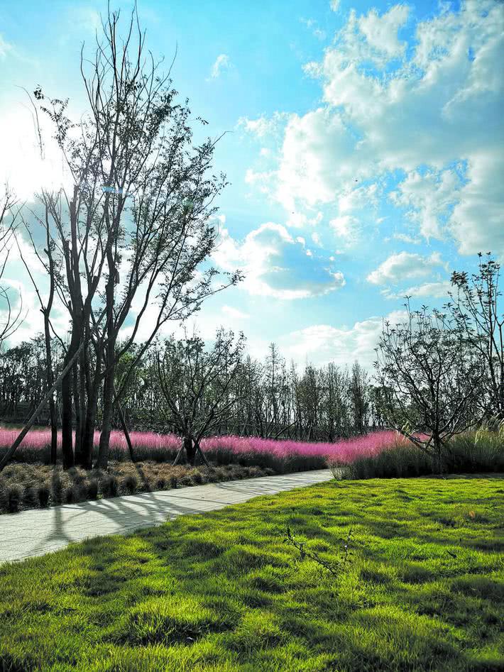 成都锦江绿道江家艺苑,成都锦城江家艺苑