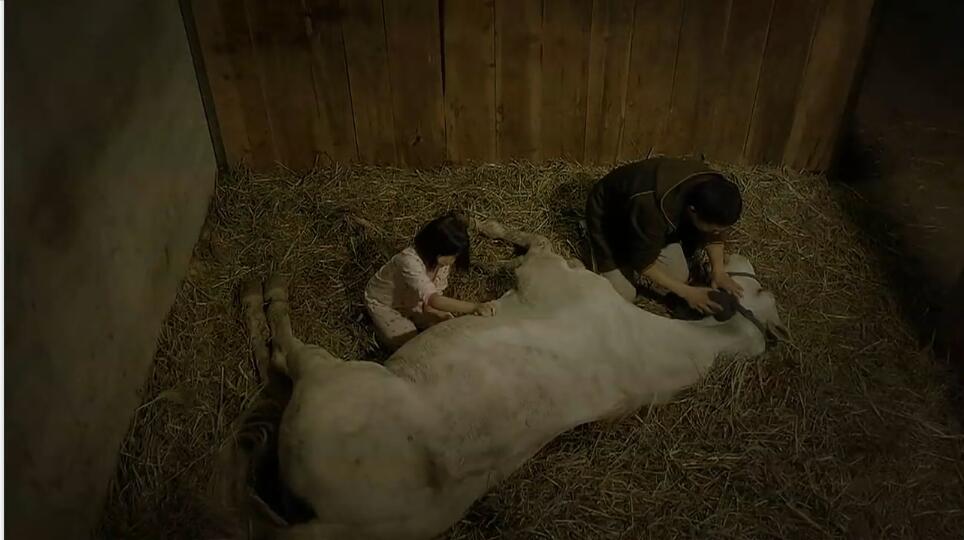 一人一马攀登高峰望故乡完整版,一人一马励志电影