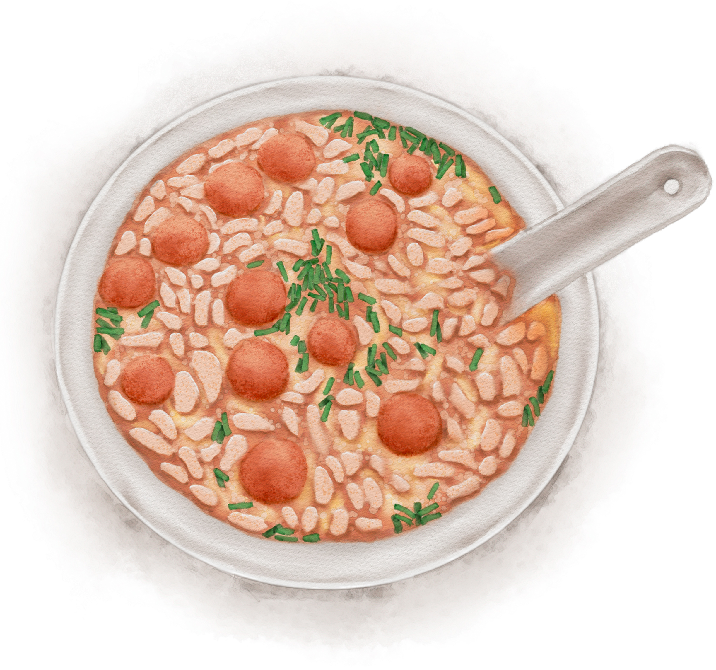 西桂林恭城县只有笔直的山茶树，因为弯曲的树干都被砍掉打油茶了