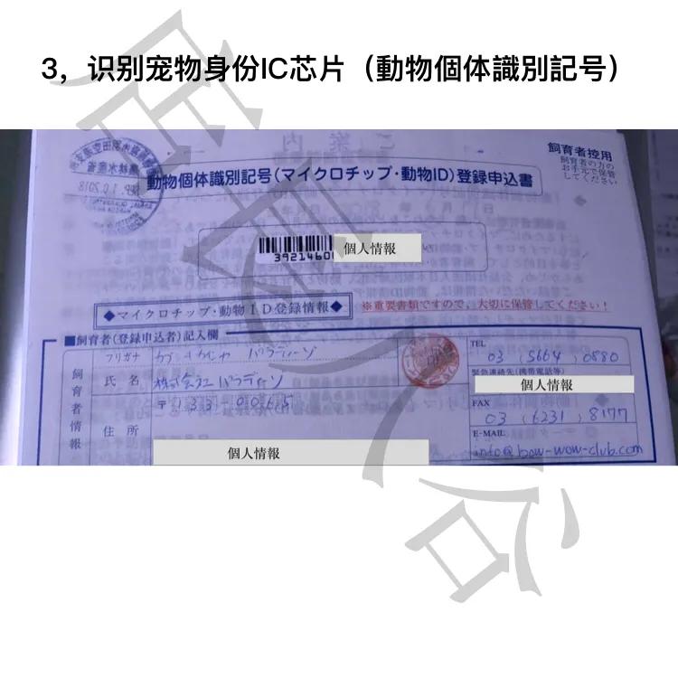 日本买了车怎么运回中国,日本柴犬带回中国