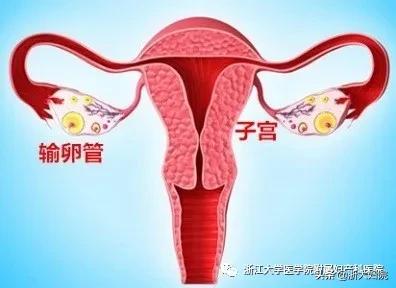 姨妈期哪些行为会导致不孕,经期做什么会导致不孕
