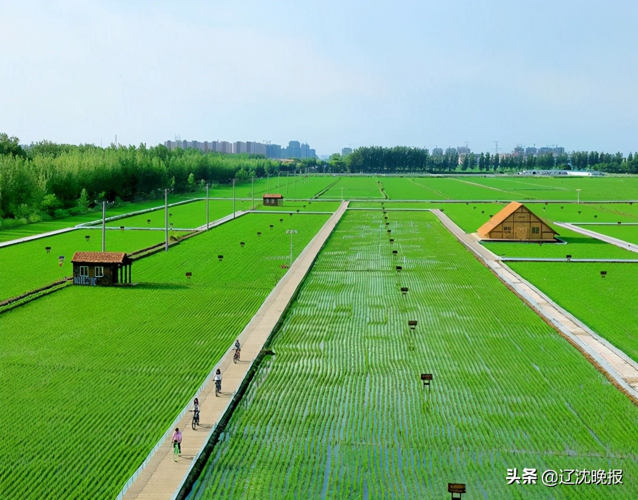 辽宁公布1030个美丽宜居村,辽宁1030个美丽宜居村盘锦