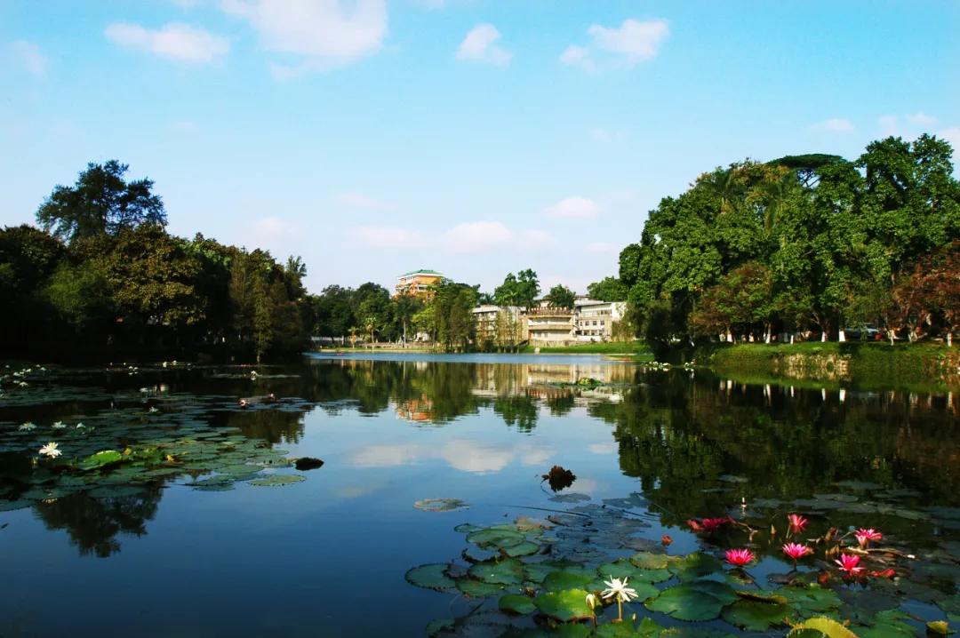 报考华南农业大学,华农报录比