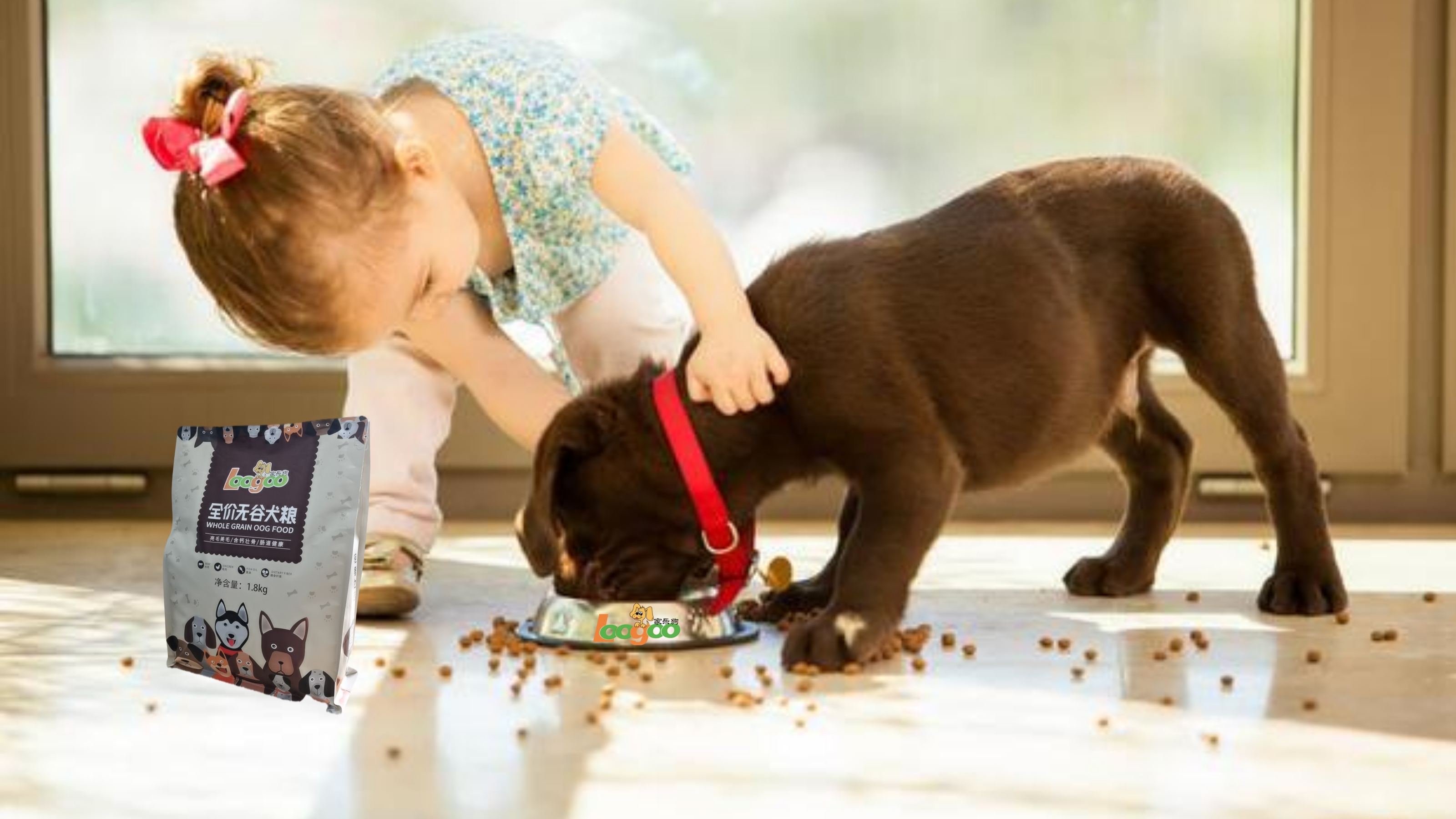 狗狗换粮出现软便拉稀,狗换粮拉稀可以自愈吗
