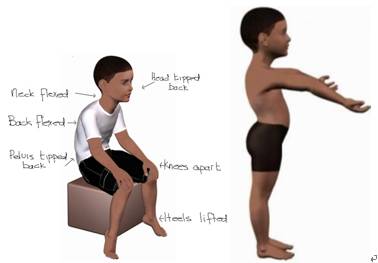 你真的了解感觉统合知识吗,感觉统合内容是什么