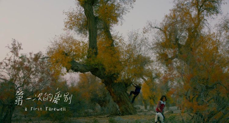 柏林苍穹下电影插曲,柏林苍穹下剧情解析