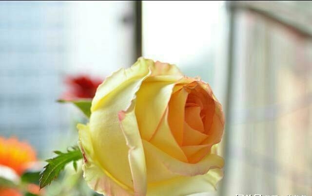 人要吃得苦中苦方为人上人,吃得苦中苦方为人上人的人