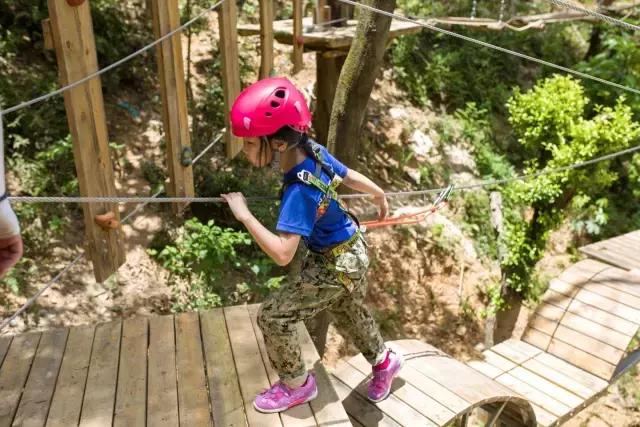 可拉熊团购,深圳可拉熊丛林探险营地团购门票