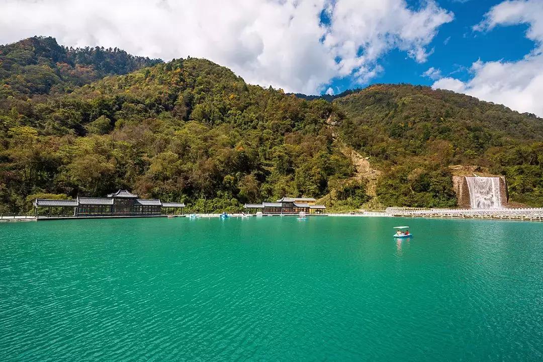 万亩杜鹃花开！邂逅野生水鹿，观云海住树屋，成都自驾3.5h就到！