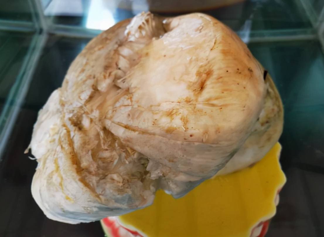 捡到太岁的真面目,捡到太岁的真实事件