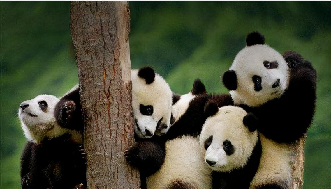 秒懂财经股票知识,秒懂的股票知识