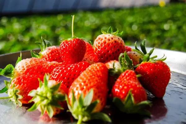 这才是上海最好的牛肉面,近期上海最牛的区