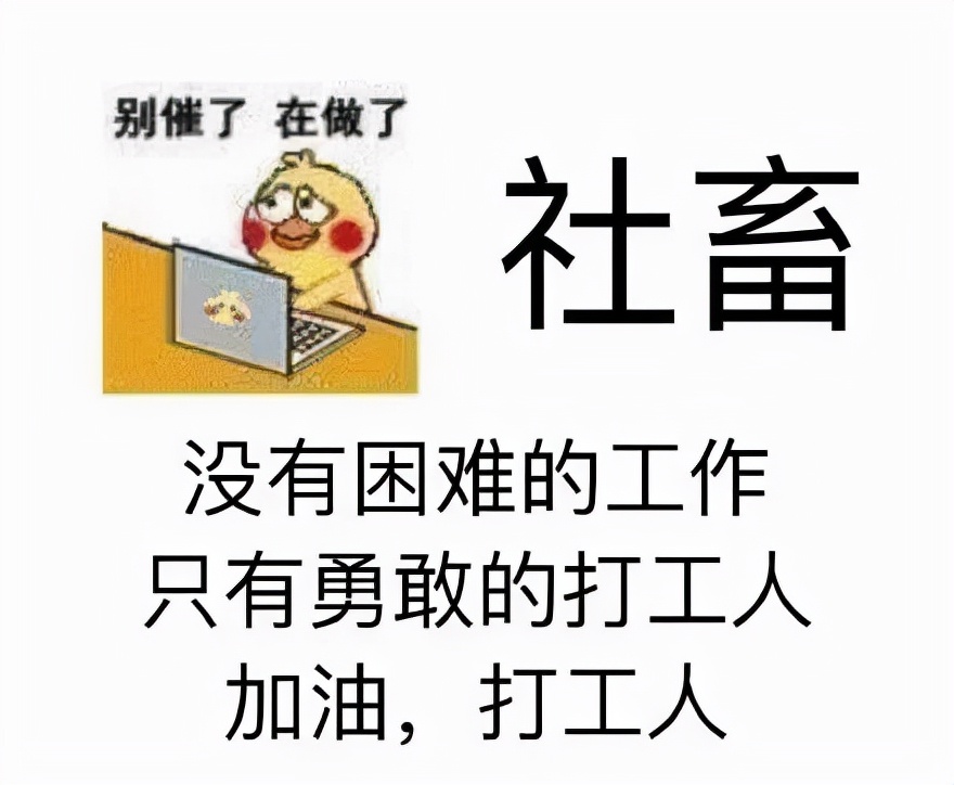 他一出来卖惨，全网追着骂