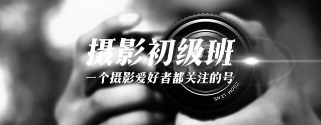 摄影作品精选展,每周摄影作品