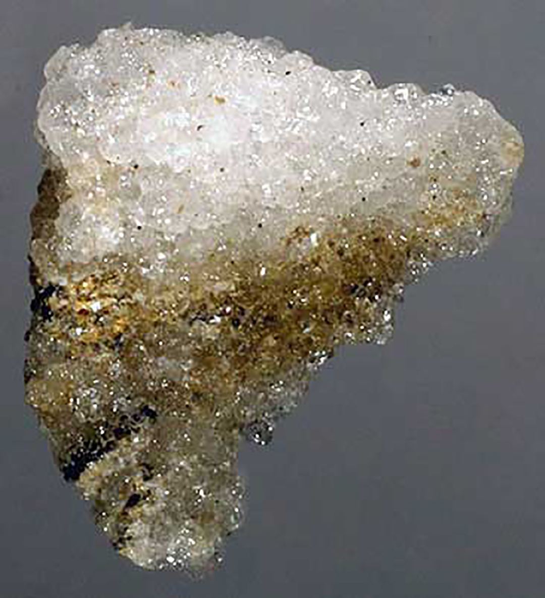 中国哪三大火腿它们的区别是什么,东西方火腿的区别