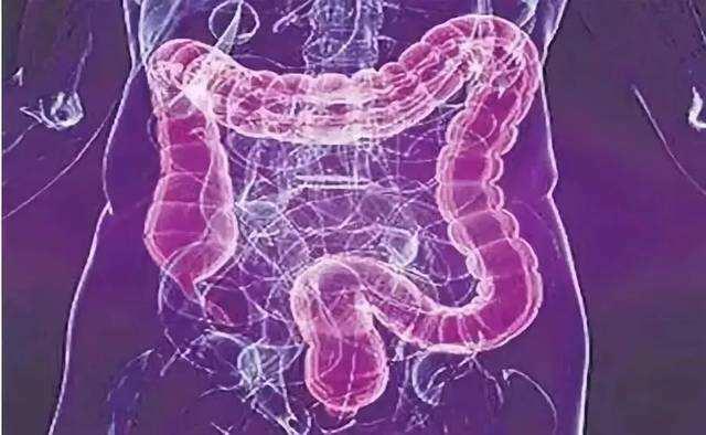 检查肠胃没问题拉屎放屁很臭,肠胃不好放屁多怎么办