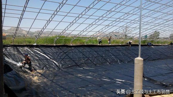 生态农业养殖价格表最新,绿色渔业养殖费用
