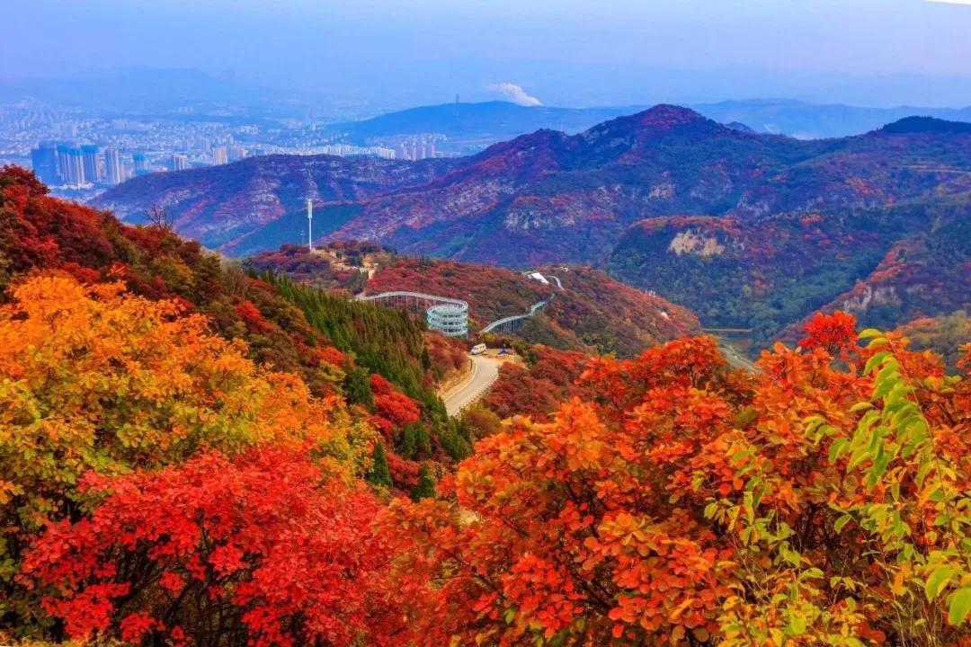 打造地方特色文旅项目,重磅打造的文旅项目