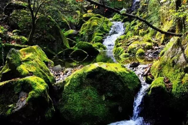 西安绝美打卡地,西安293公里网红打卡地