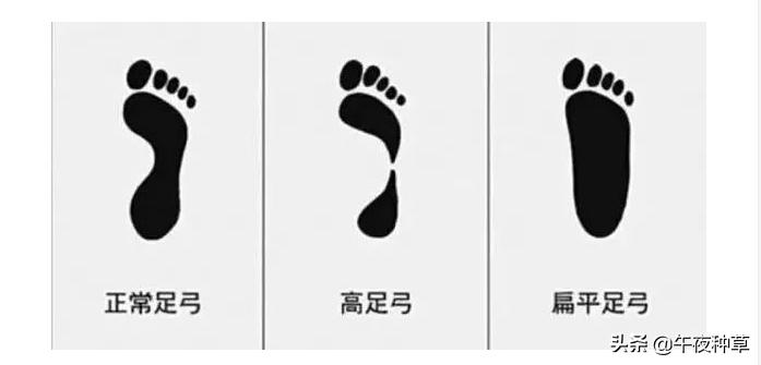 初级跑者跑鞋推荐1000米,618入门跑鞋