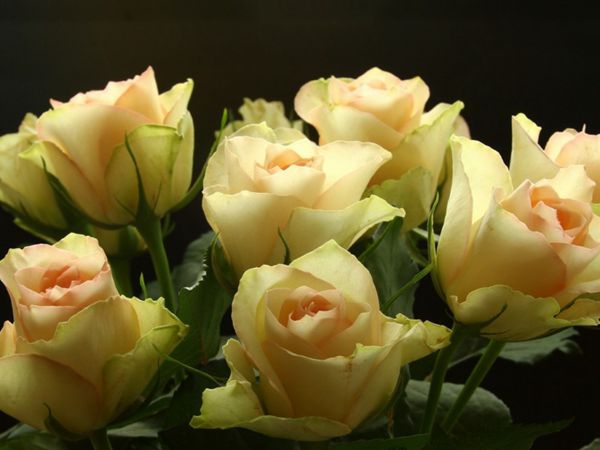 人生感悟的经典句子最新,经典的人生感悟精辟句子