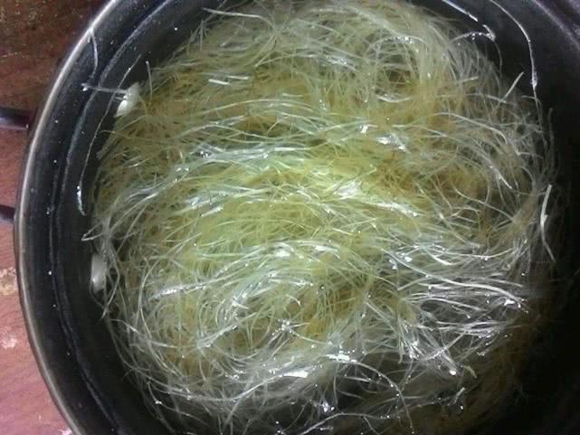 人称“龙须”，国内常当“废物”丢掉，在韩国120元一斤成高档货