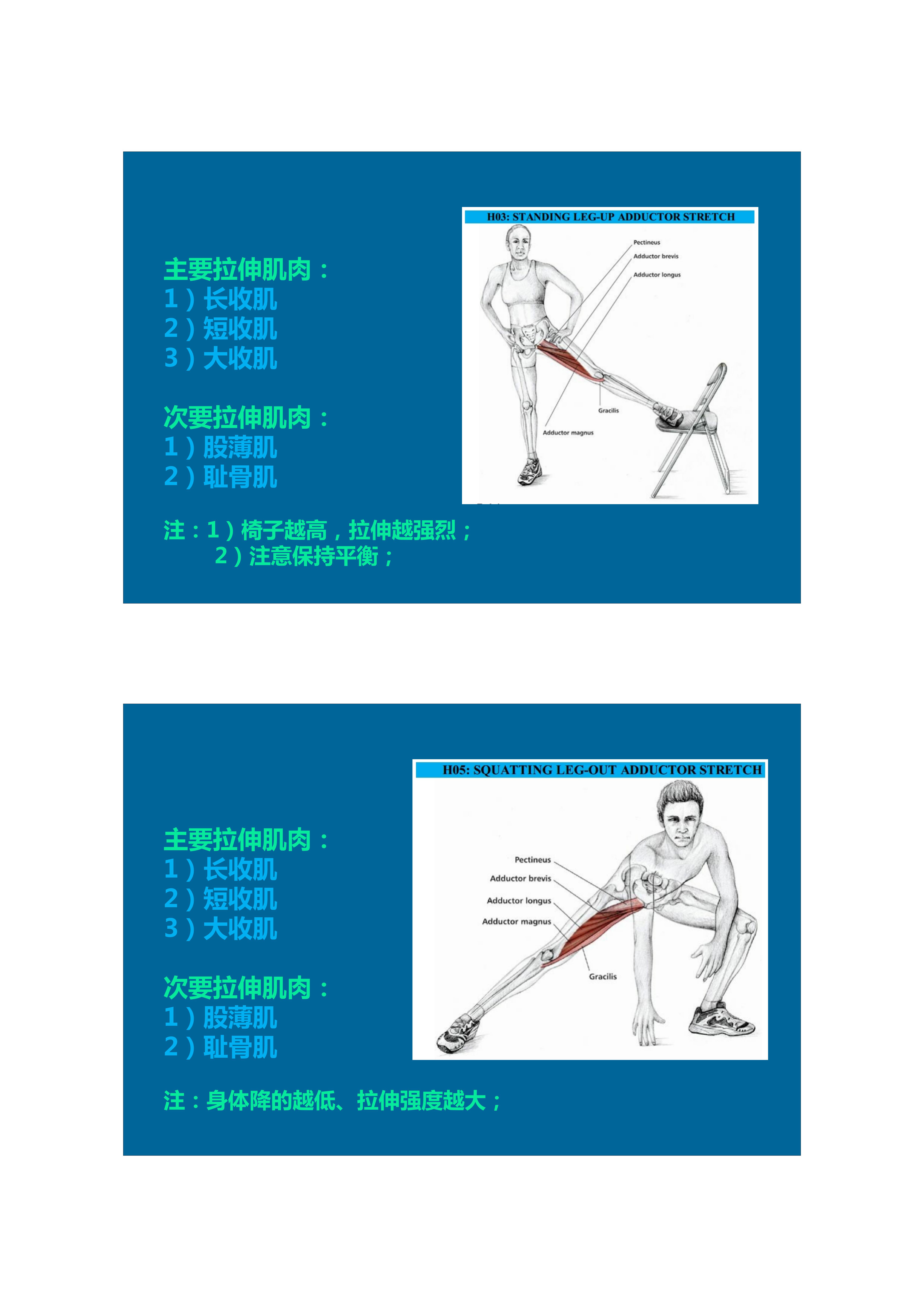 1分钟拉伸动作视频,拉伸腿部技巧