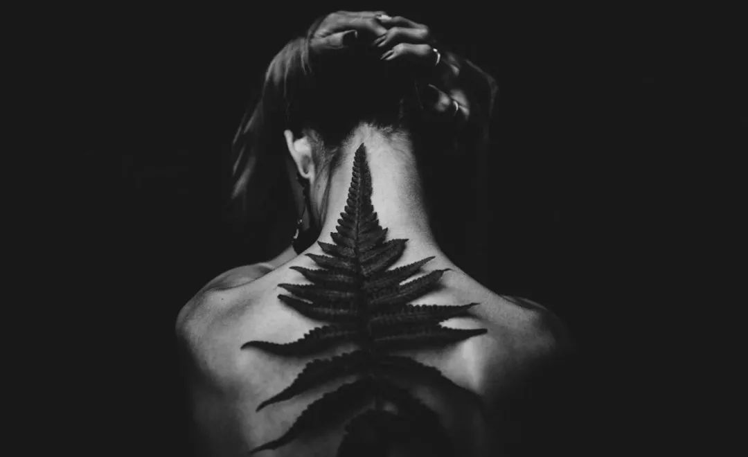 北大女生自杀事件：这场极致的冥王星操纵，只钩住了2件事