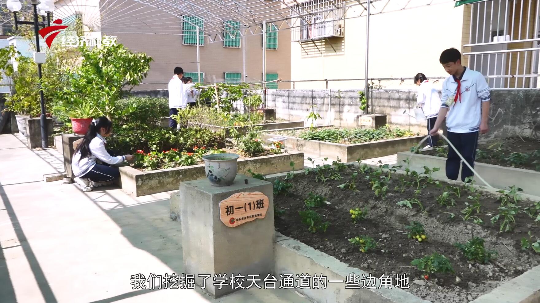 广东汕头广播电视台新闻联播,广东卫视新闻汕头