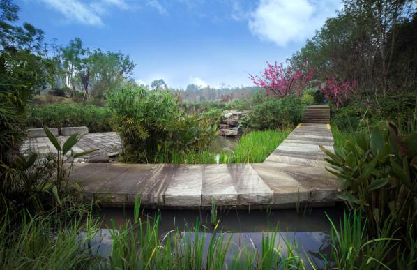 两江新区四化工作展示,两江新区将打造标志性城市中心