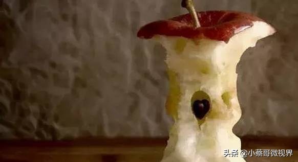 吃完的水果不要扔试试在家就能种,吃完的水果种子