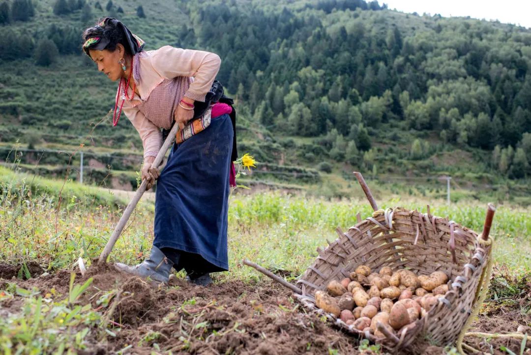 在脱贫攻坚一线的战友,向战斗在一线的扶贫战友致敬