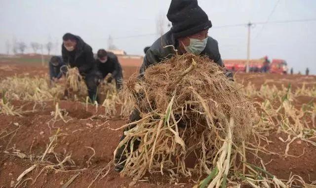 疫情期间你熬得住吗 (如果疫情再下去你能熬多久)