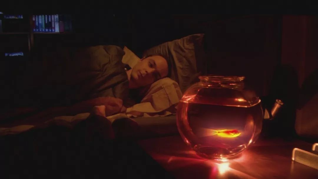 生活大爆炸真的完结了吗,生活大爆炸什么时候完结