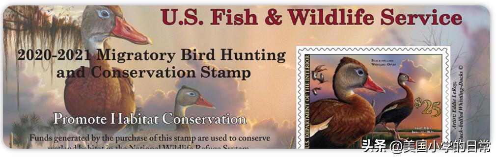 价值1000多块的练习册，竟然免费啦！暑期燃爆孩子的思维训练